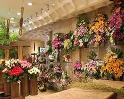 گل فروشی ساحل گل فروشی ساحل